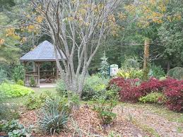 Have you enjoyed hatcher garden in spartanburg, sc? Hatcher Garden Woodland Preserve Spartanburg Cityseeker