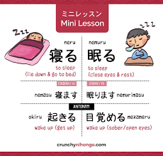 Crunchy Nihongo! — Did you know there are 2 type of sleep in Japanese...