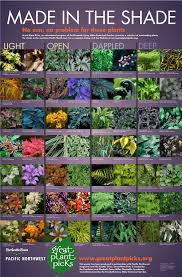 Shade Plants Shade Garden Plants Plants Shade Garden