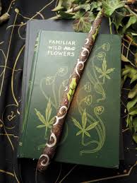Holly Wood Witches Wand Wands Witch Wand Holly Leaf