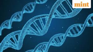 Nitin Pai: The diversity of Indian genomes should cue changes in India’s approach to public health