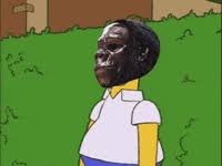 Basketball golden state warriors suns warriors gorilla. Suns Gorilla Gifs Get The Best Gif On Giphy