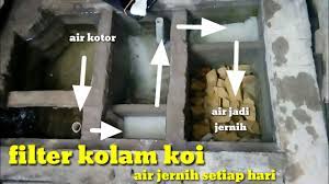 Bisa menggunakan kain kasa, atau filter lain sehingga kotoran tidak naik. Filter Kolam Koi Air Jernih Setiap Hari Youtube