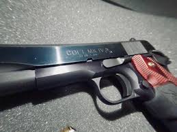 Image result for Light Buckskin 1990 Colt