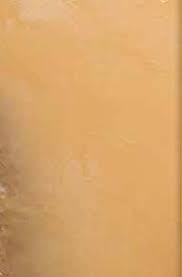 Annual Report 2012–13