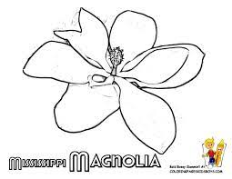Magnolia Stencil Design Flower Drawing Flower Printable Flower Coloring Pages