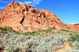 We did not find results for: Red Cliffs National Conservation Area St George Utah Womo Abenteuer