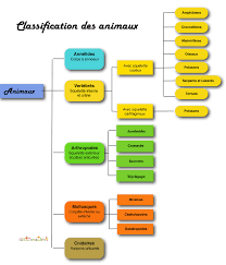Epingle Sur Idees Pour La Maison