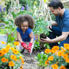 We did not find results for: Benefits Of Having A Family Garden