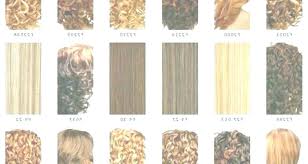 Light Brown Hair Color Chart Fooru Me