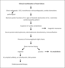Image result for Restrictive Cardiomyopathy