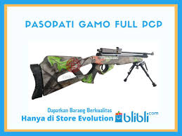 Senapan angin pcp marauder predator sicuro. Jual Senapan Angin Pcp Pasopati Gamoflase Magazine Murah Juni 2021 Blibli