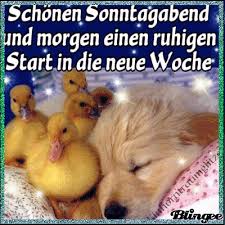 Sonntag spruche 74 schonen und lustige sonntagsspruche. Einen Wunderschonen Abend Wunsche Ich Dir Und Viel Spater Eine Gute Nacht Gute Nacht Freunde Gute Nacht Zitate Schonen Sonntagabend