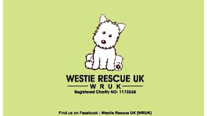 West yorkshire, yorkshire and the humber. Westie Rescue Uk Wruk Registered Charity Animal Rescue Service