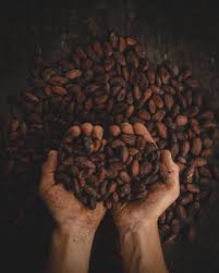 Le Marche Du Chocolat Bio France Businesscoot