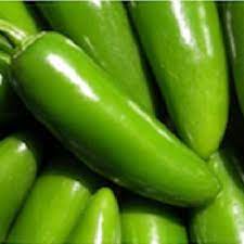 Organic and heirloom seeds in south africa. Tam Mild Jalapeno Pepper Two Plants Clovers Garden