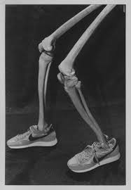 Bildergebnis für Kobby Adi