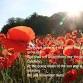 National Memorial Arboretum - Midlands Bullie Walks event image