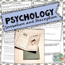 Psychology Sensation And Perception Activities Psychology Psychology Student Perception