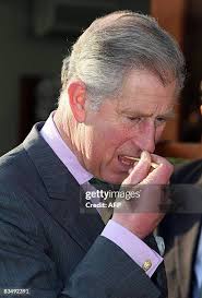 688 Royal Bean Stock Photos, High-Res Pictures, and Images