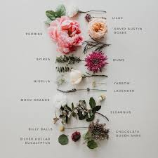 Fall Bouquet Recipe Bouquet Recipe Bouquet Recipe Fall Flower Guide