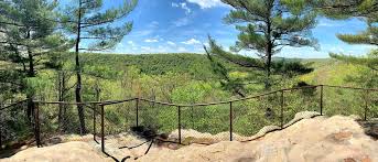 Conquer your kitchen with essential knife skills, cooking techniques and baking tips and tricks. Spending Two Days Immersed In Nature In Cook Forest Pennsylvania Wilds