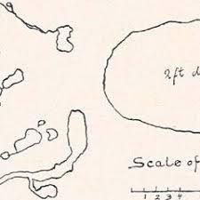 F.XPORTS OF COFFEF VIX THE PORT UF HAVASA, IN POUPIDS
