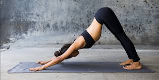 Check spelling or type a new query. 4 Pose Yoga Untuk Membentuk Otot Perut Hello Sehat