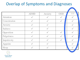 Kipp Adhd Presentation Kurtz