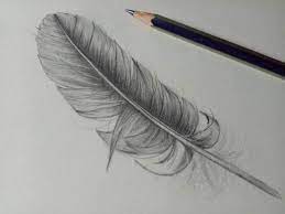 Maybe you would like to learn more about one of these? Feder Zeichnen Lernen Schritt Fur Schritt Anleitung