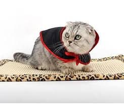 Amazon Com Pet Halloween Costumes Witch Wizard Vampire Cloak For Dog Cat Cute Cosplay For Puppy Kitten Pe Pet Halloween Costumes Pet Costumes Dog Holiday