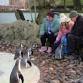 Family Get-together at Twycross Zoo event image