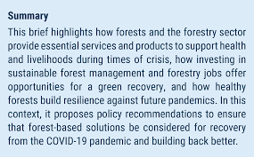 The virus is transmitted through direct contact with respiratory droplets of an infected person (generated. Forests At The Heart Of A Green Recovery From The Covid 19 Pandemic Department Of Economic And Social Affairs