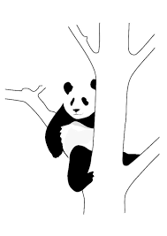 Oso Panda Para Colorear