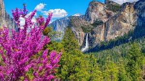 We did not find results for: Mountain Waterfall Waterfalls Nature Background Wallpapers On Desktop Nexus Image 2500028