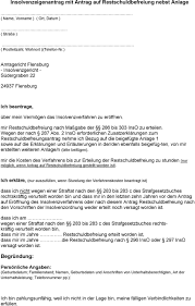 Ein solcher titel kann der vollstreckungsbescheid, ein urteil oder beschluss, aber auch ein vollstreckbarer bescheid einer behörde (z. Insolvenzeigenantrag Mit Antrag Auf Restschuldbefreiung Nebst Anlage Pdf Free Download