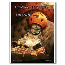 Halloween Postcard Zazzle Com In 2021 Halloween Cat Crazy Cats Cute Cats