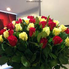 Your lovely flowers stock images are ready. Wake Her Up To A Bunch Of Lovely Flowers Visit Us At Www Islandrose Net For Orders Flowers Rose Plants