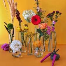Maybe you would like to learn more about one of these? Bloom Flowers Gifts Bentonville Ar Florist Same Day Flower Delivery Available