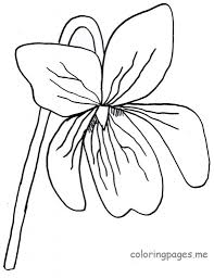 Violet Coloring Page 789x1024 Jpg 789 1024 Flower Coloring Pages Flower Drawing Printable Flower Coloring Pages