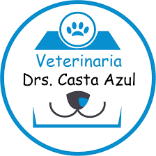 Urgencias para mascotas en cali 24 horas | emergencias veterinarias en cali 24 horas Drs Casta Azul veterinaria cerca de mi