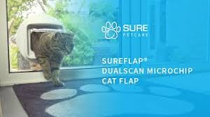 Microchip door for sash windows. The Sureflap Dualscan Microchip Cat Flap Youtube