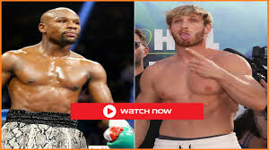 Floyd mayweather will take on youtuber logan paul in june (photo: Diecfr8zdike5m