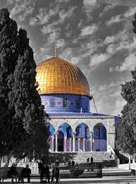 jerusalem palestine ي ا أ ج م ل م م ا ظ ن ال و ر د ب ن ف س ه beautiful mosques mosque islamic photography