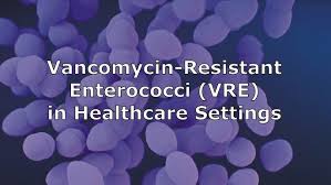 Image result for Vancomycin Resistant Enterococcus