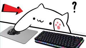 How To Get And Set Up Bongo Cat Cam V2 Streamlabs Obs Youtube