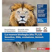 The spirit of the time. With Your mag, Revisiting SDGs through art and  literature. Per le Scuole superiori. Con e-book. Con espansione online :  Brunetti, Alessandra, Zaini, Manuela, Lynch, Peter: Amazon.it: Libri