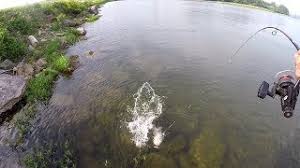 Maybe you would like to learn more about one of these? Richard Gene The Fishing Machine Youtube Channel Analytics And Report Powered By Noxinfluencer Mobile