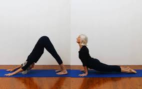 Browse 1,121 adho mukha svanasana stock photos and images available, or search for yoga or adho mukha virasana to find more great stock photos and pictures. Downward Facing Dog Into Upward Facing Dog Adho Mukha Svanasana Into Urdhva Mukha Svanasana Iyengar Yoga
