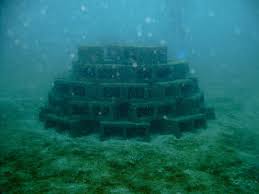 Check spelling or type a new query. Build An Artificial Reef 8 Steps With Pictures Instructables